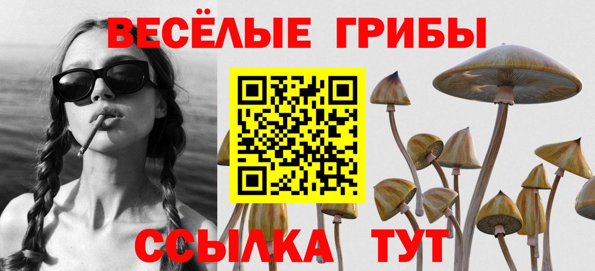 Галлюциногенные грибы прущие грибы  Вход с VPN  Заречный 